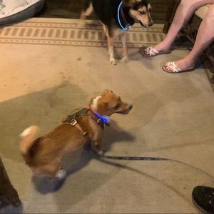 Meet your Posher, Erica